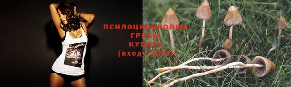 spice Алзамай