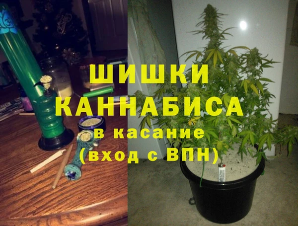 spice Алзамай